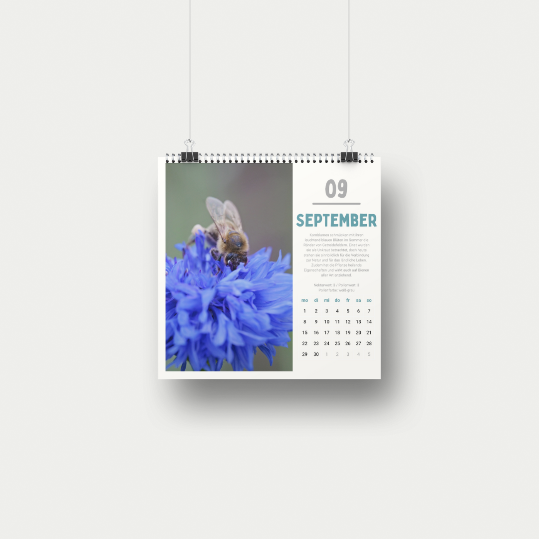 Bienenkalender 2025