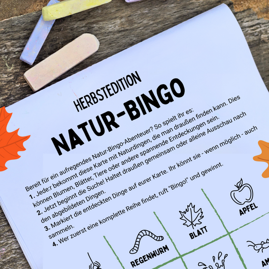 Spiel Naturbingo Herbstedition